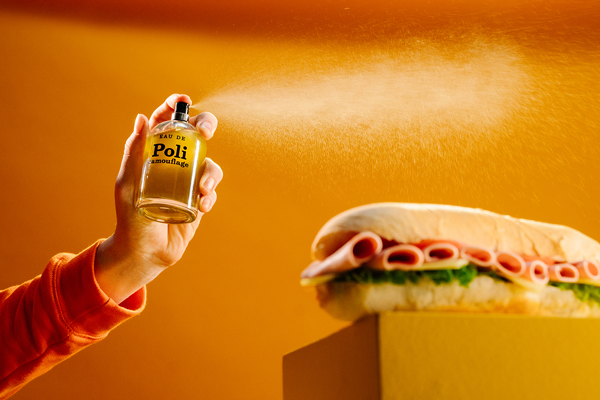 WEB PoliCamouflage Instructions